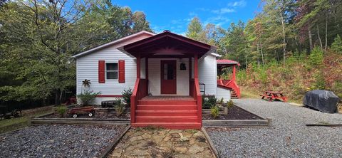 1441 Chestnut Gap Road Blue Ridge GA 30513