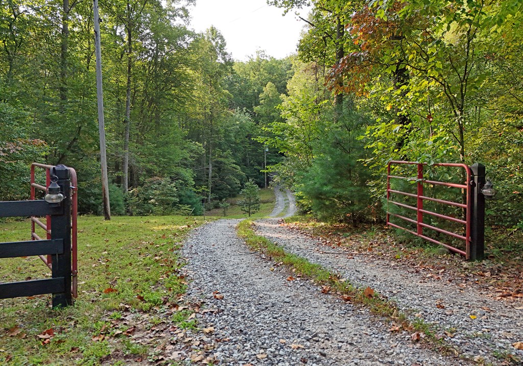 3008 Smyrna Road