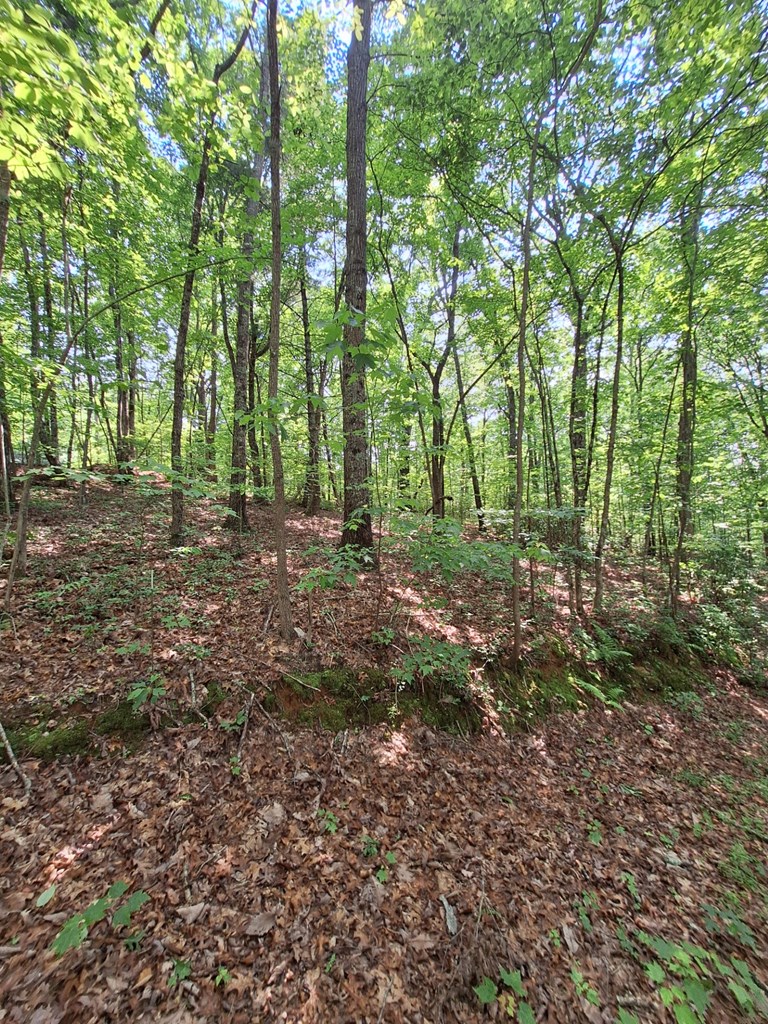0 Sunrock Mountain Trc