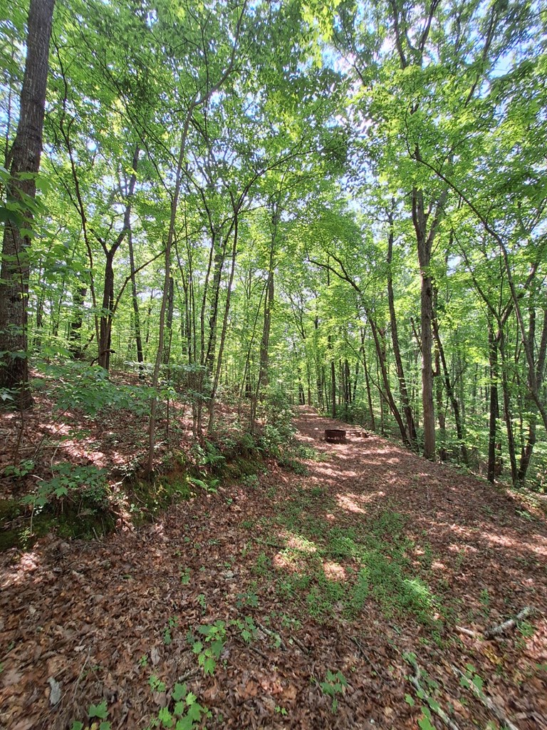 0 Sunrock Mountain Trc
