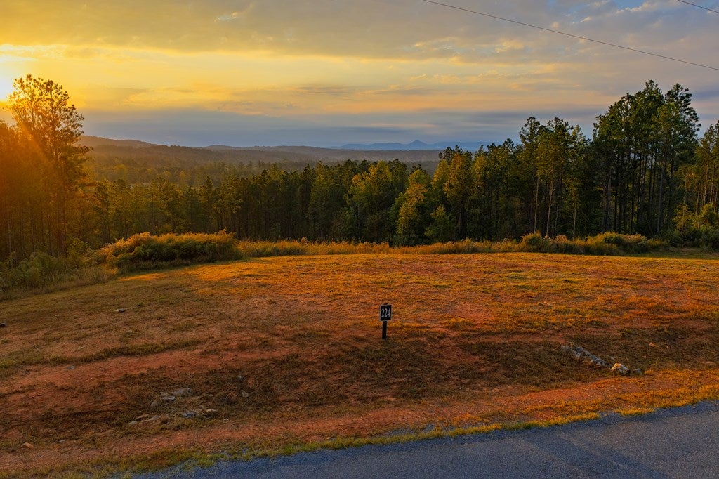 Lot 224 West Vista Ridge Parkway