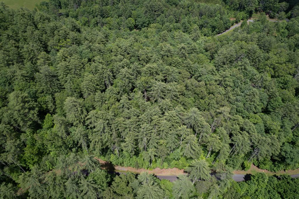 Lot 11 Bear Cove At Fires C