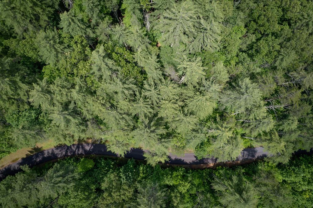 Lot 11 Bear Cove At Fires C