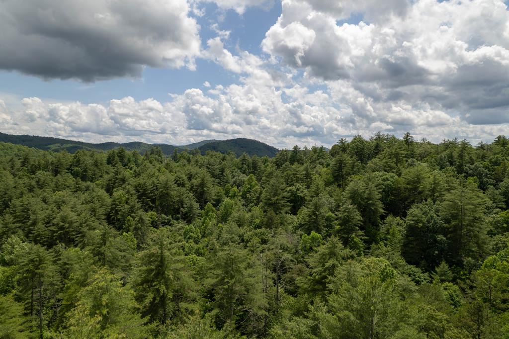 Lot 11 Bear Cove At Fires C