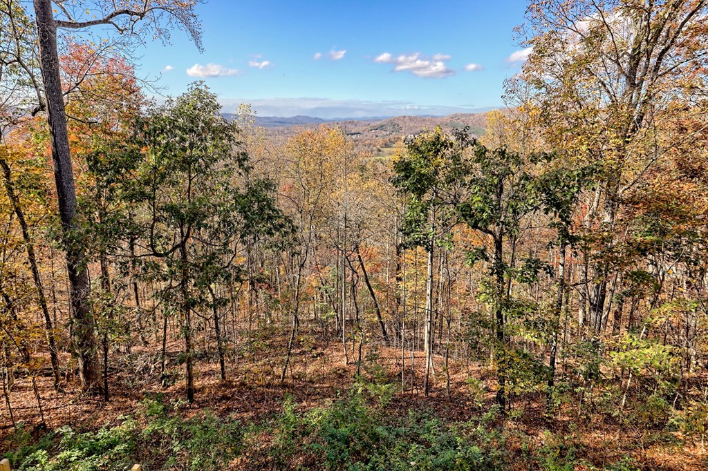 1279 Harris Ridge Road
