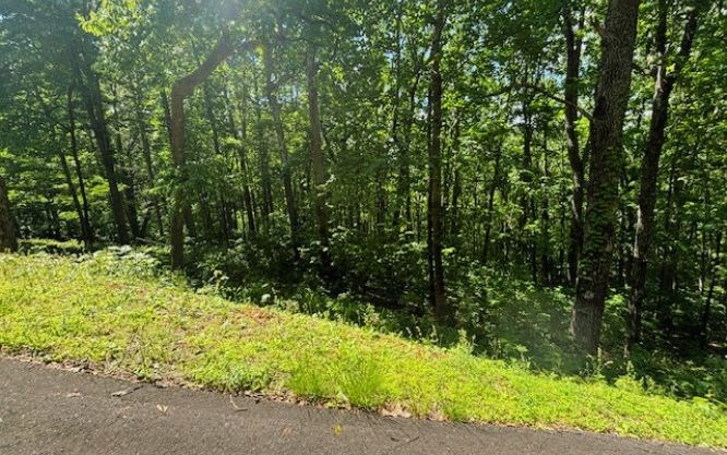 Lot 90 Rocky Knob Estates