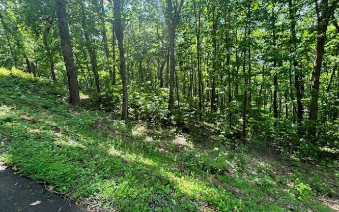 Lot 90 Rocky Knob Estates