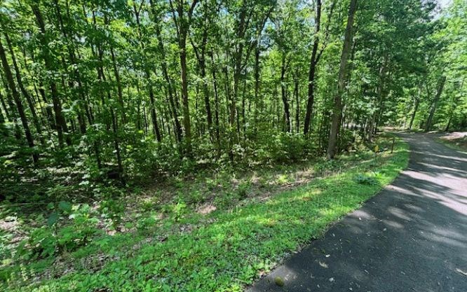 Lot 90 Rocky Knob Estates