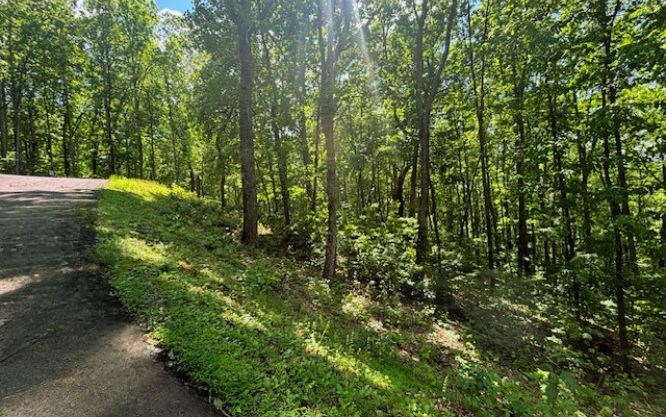 Lot 90 Rocky Knob Estates