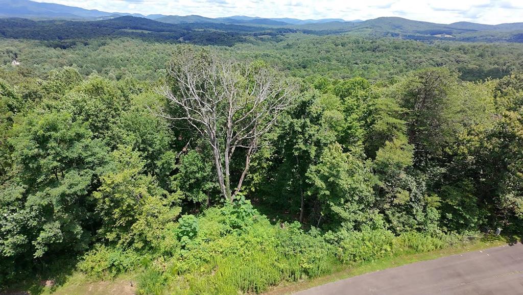 260 Running Bear Lane