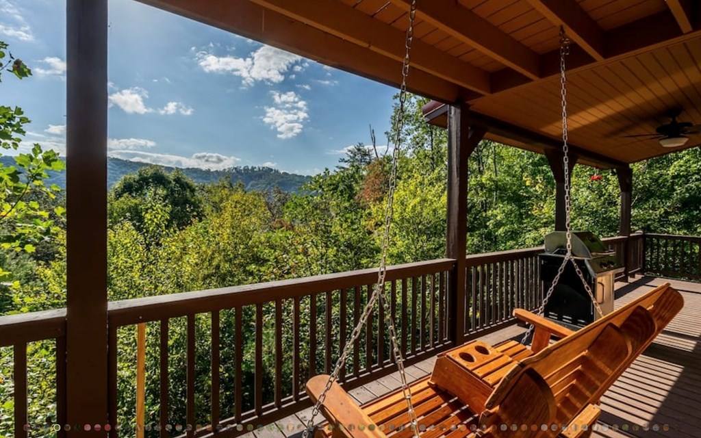 335 Mountain Laurel Lane