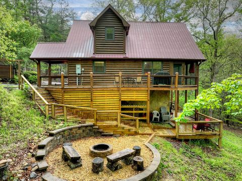 294 Oakwood Trail Mineral Bluff GA 30559