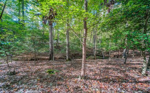 A home in Ellijay