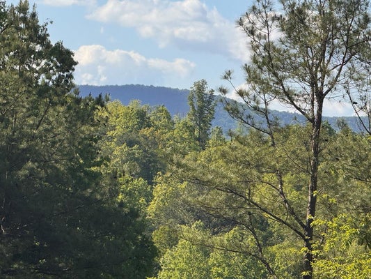 LOT 2 GRASSY CREEK ROAD, COPPERHILL, TN 37317 - Image e2cc44dc1630ef484eae4fd7fad715fe/2844245829