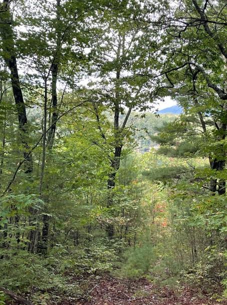 Lot 6 Sequoia Hills Ln