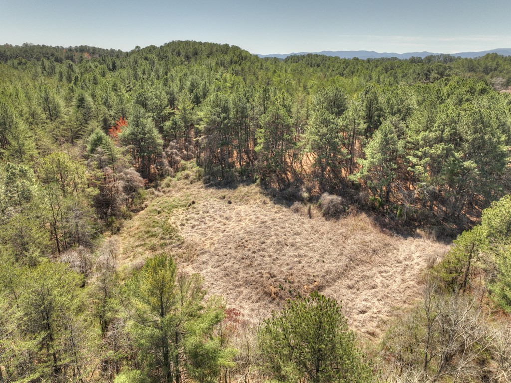 36.86 Ac Hwy 64