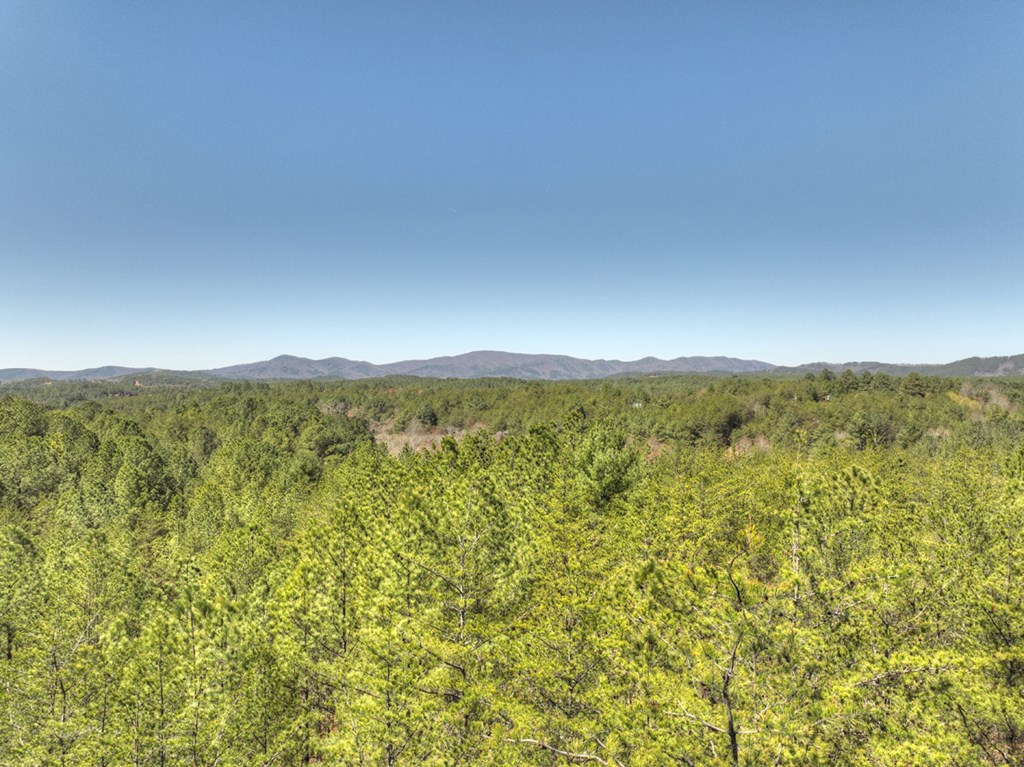 36.86 Ac Hwy 64