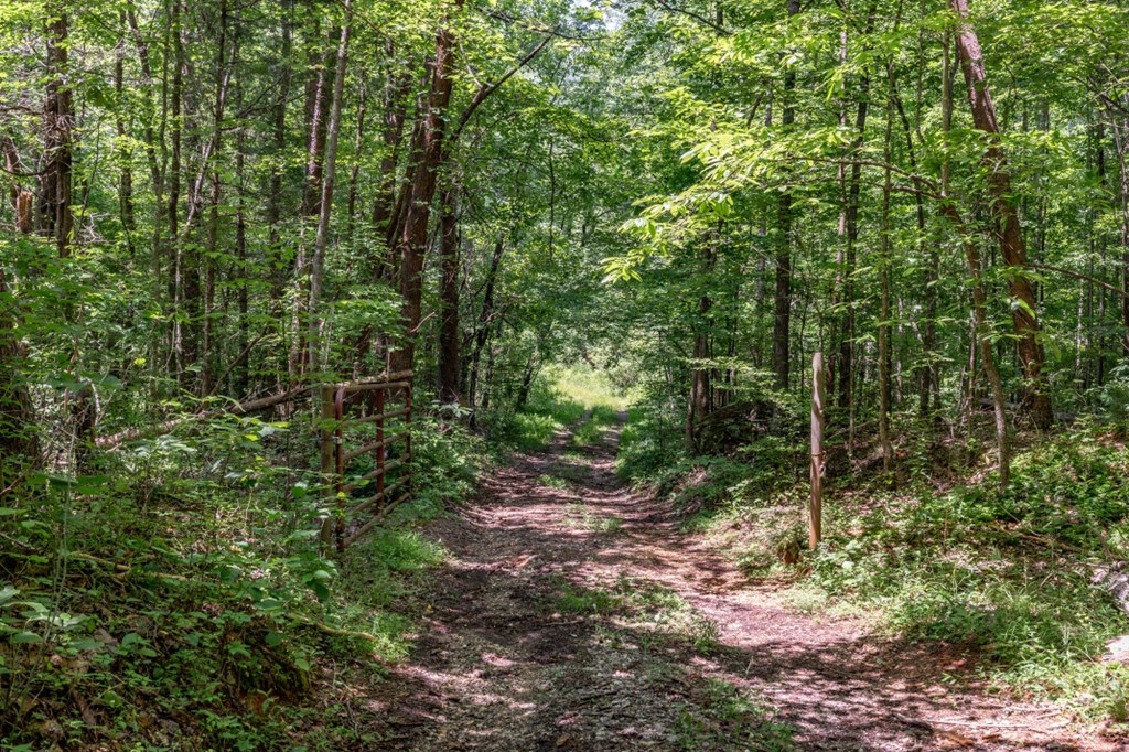 26.18 AC Green Road