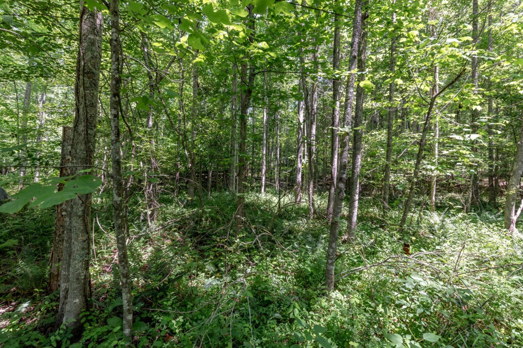 26.18 AC Green Road