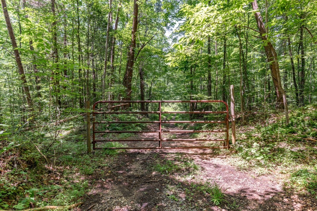 26.18 AC Green Road