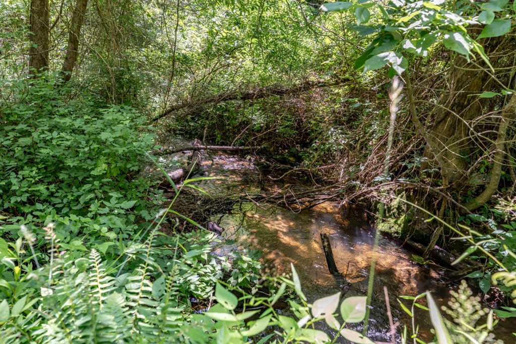 26.18 AC Green Road