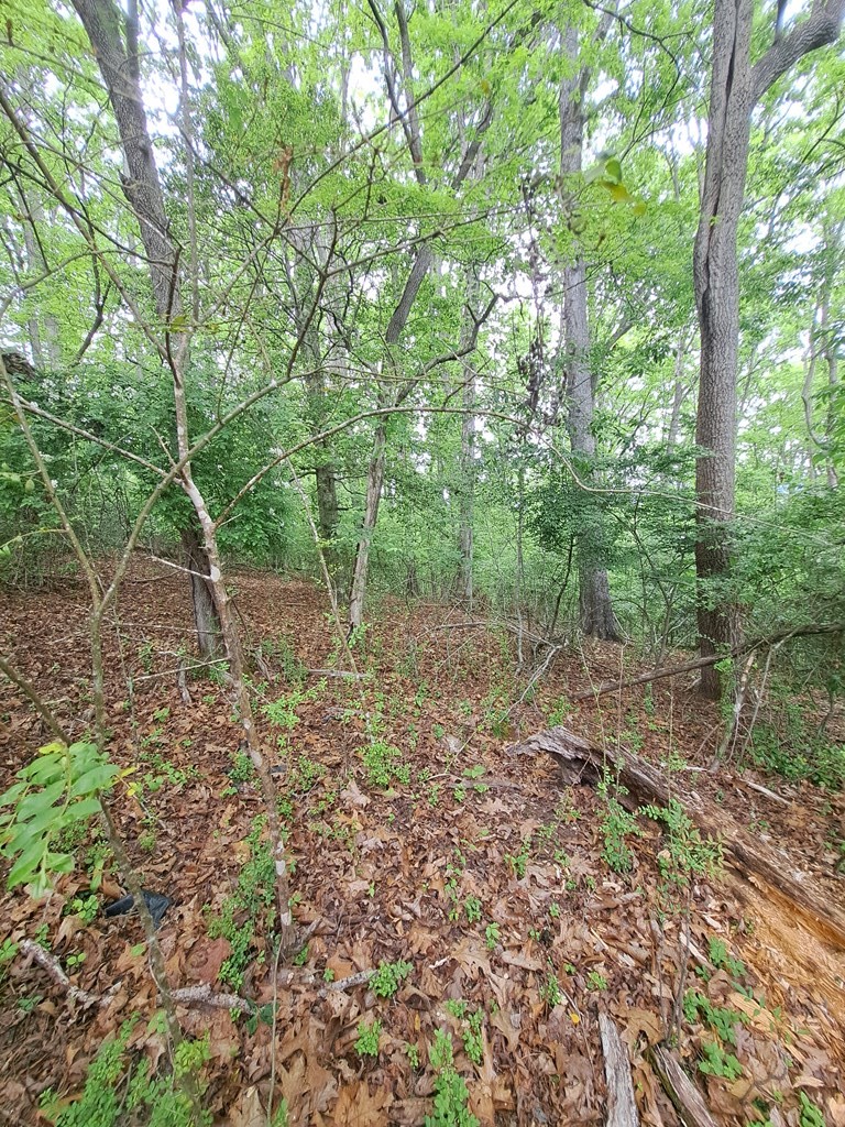 Lot 9 Murray Hill Road