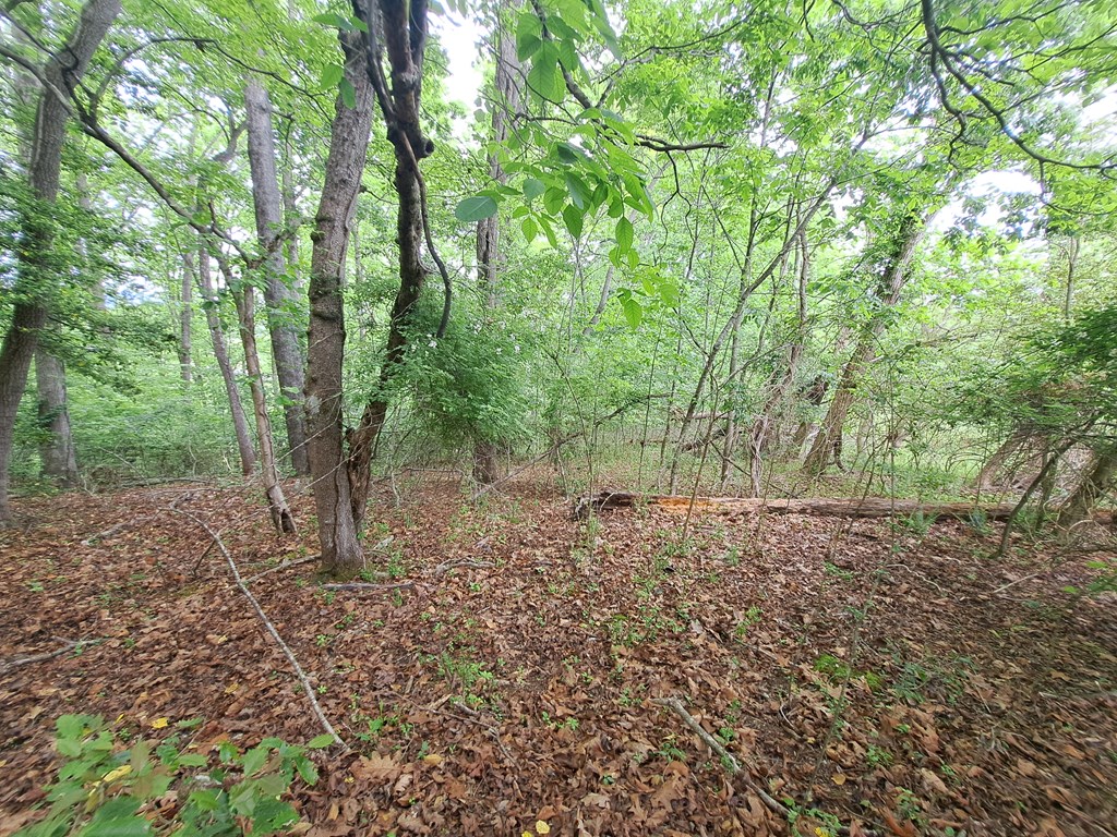 Lot 9 Murray Hill Road