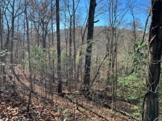 1918 Creekstone Lane