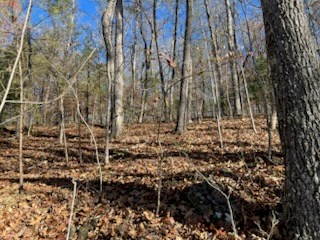 1918 Creekstone Lane