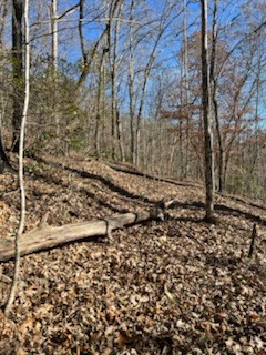 1918 Creekstone Lane