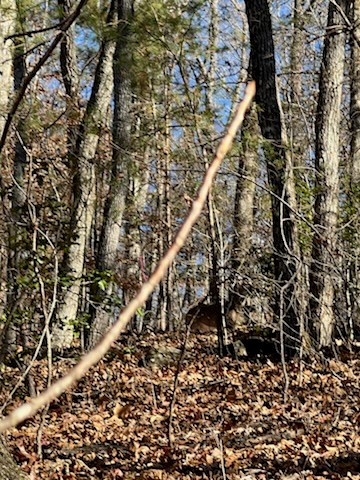 1918 Creekstone Lane