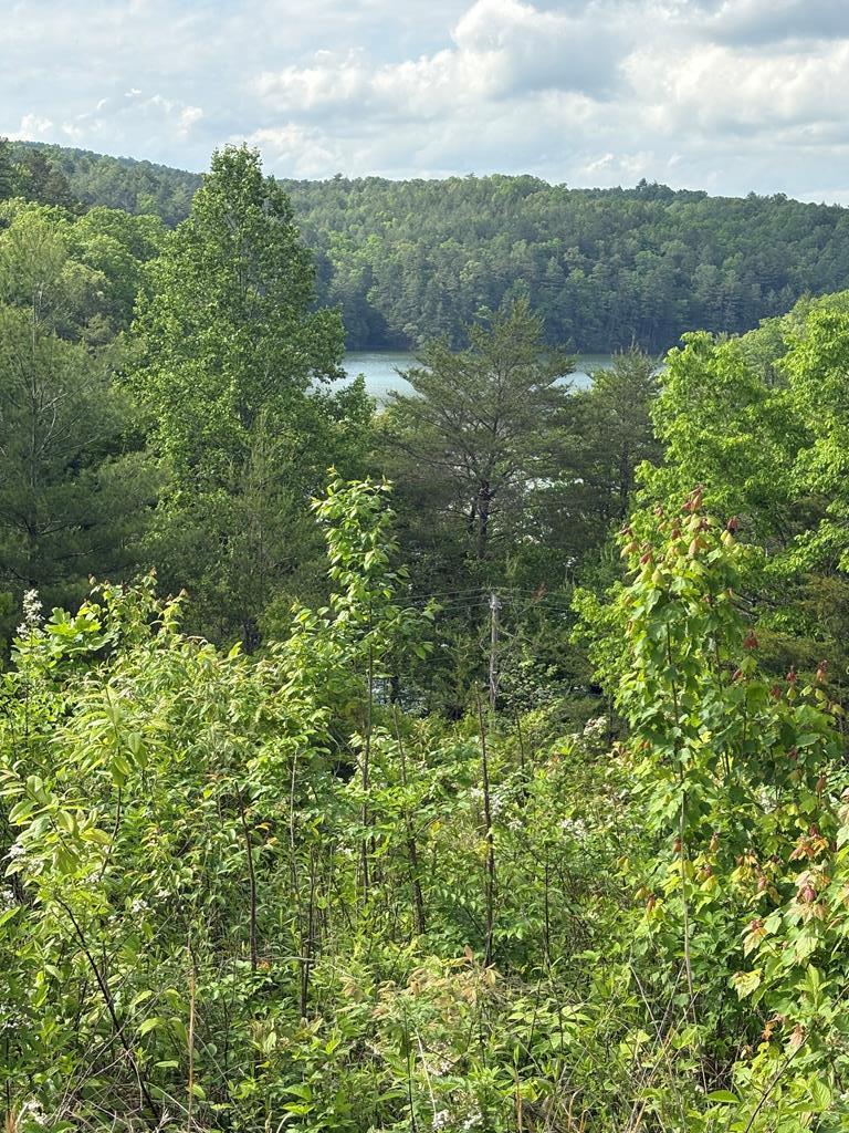 Lot 7 Foot Hill Estates