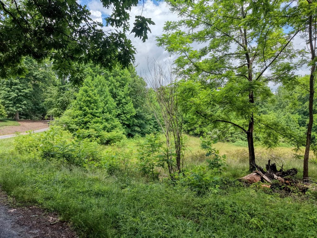 1404 Holly Point Drive