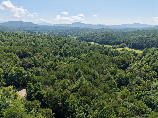 6 WILLOW RDG, WARNE, NC 28909 - Image e3bfbef9f5c3e5b6f27cf5fc8b7cb6a2/2552843480