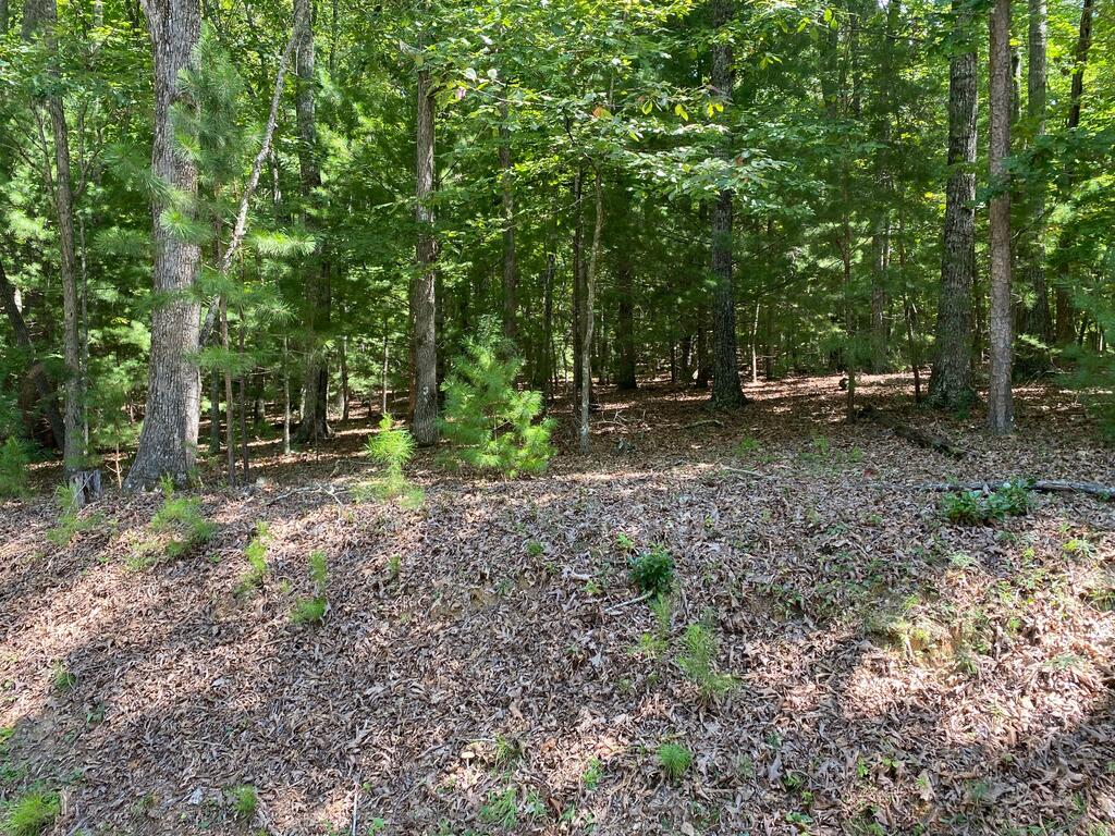 6.93 AC Timber Ridge Road
