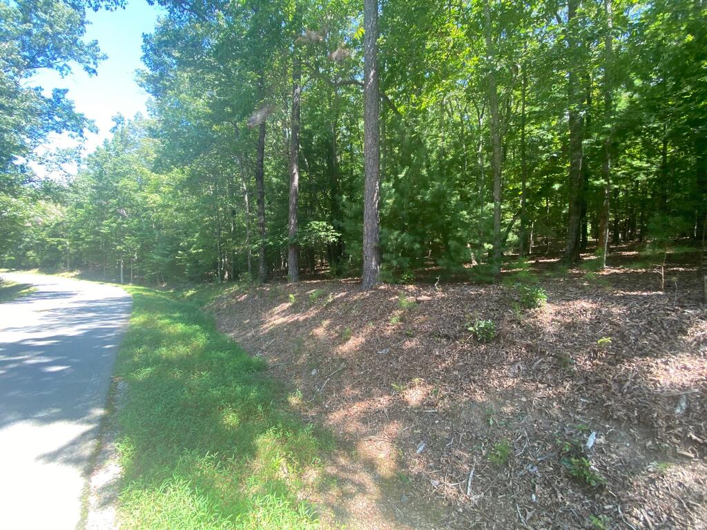 6.93 AC Timber Ridge Road