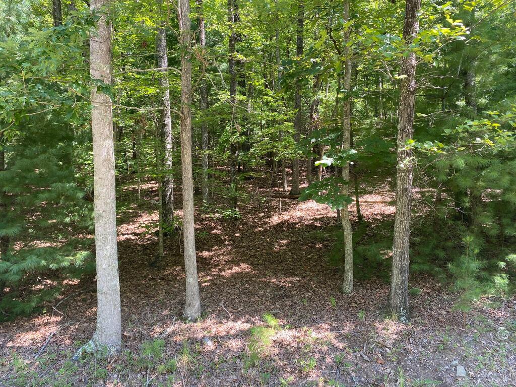 6.93 AC Timber Ridge Road