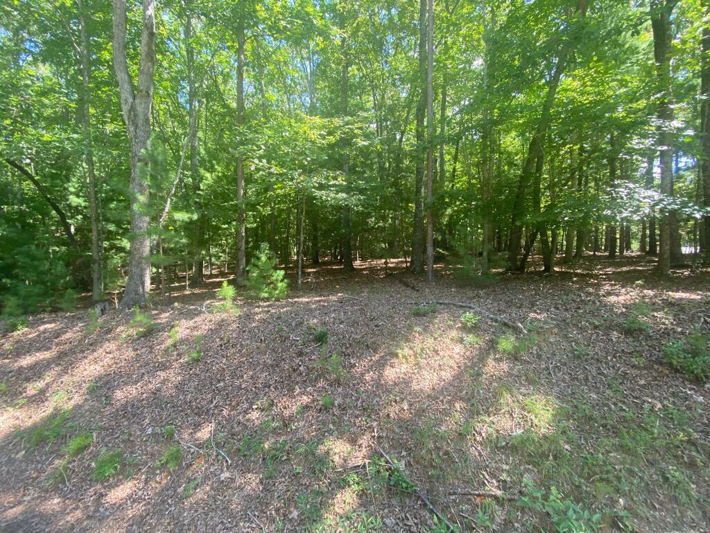 6.93 AC Timber Ridge Road