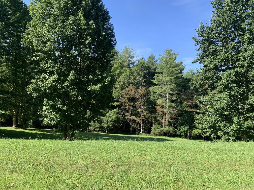10A Yellow Maple Lane