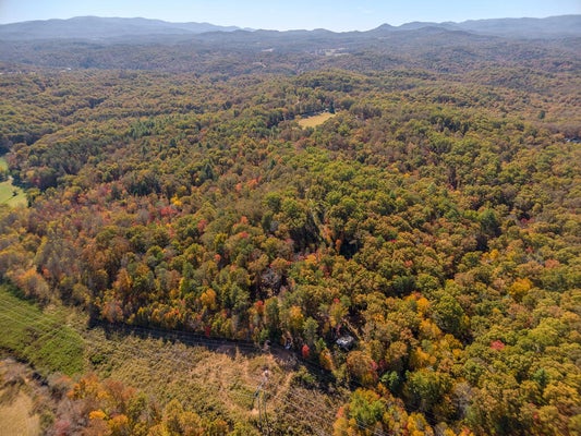 0 ROBERT MILLER LANE, MINERAL BLUFF, GA 30559 - Image e43501a3ae7a9ce14d8d83456aa4ce79/416501847