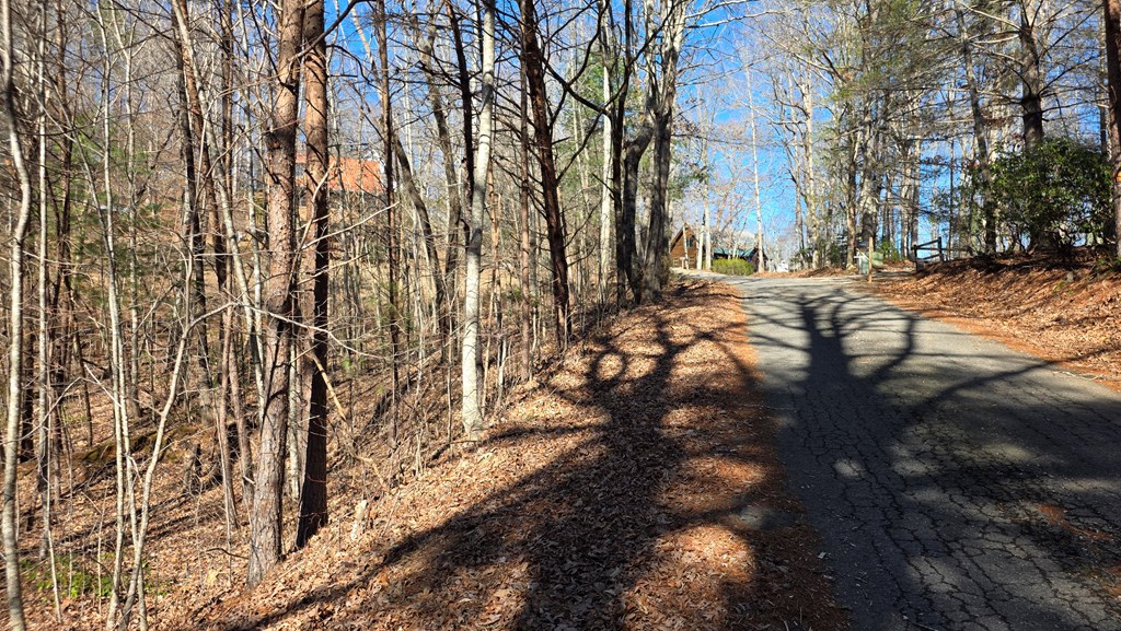 Lt 12 Mountain Laurel Est.