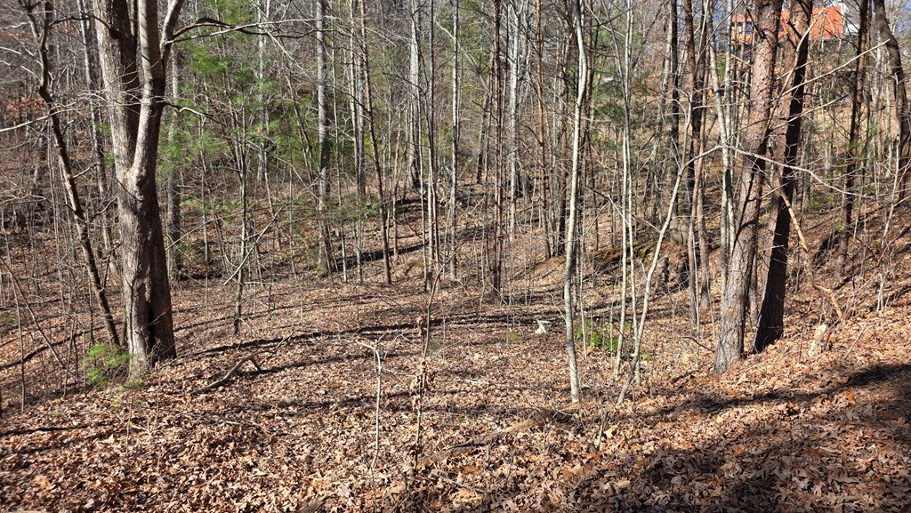 Lt 12 Mountain Laurel Est.