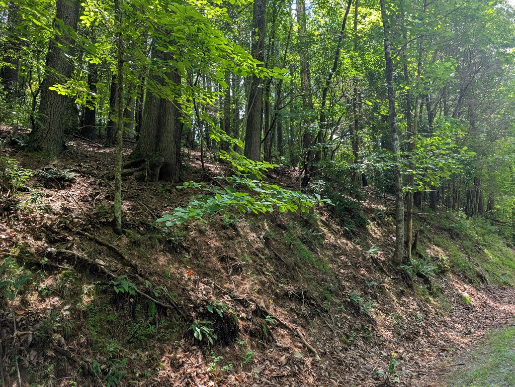 Lot P1 Goldmine Drive