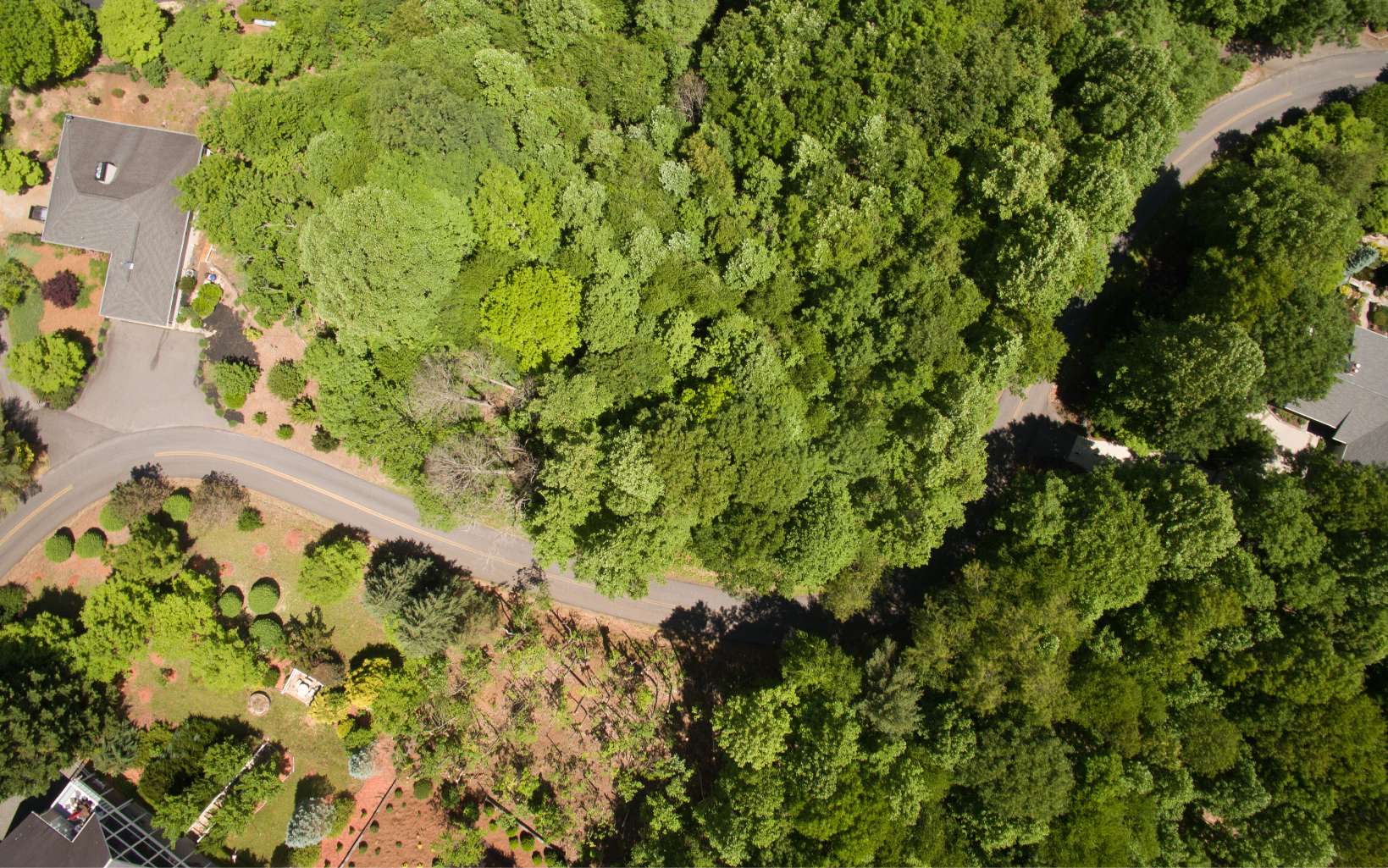 Lot 26 Lake Forest Estates