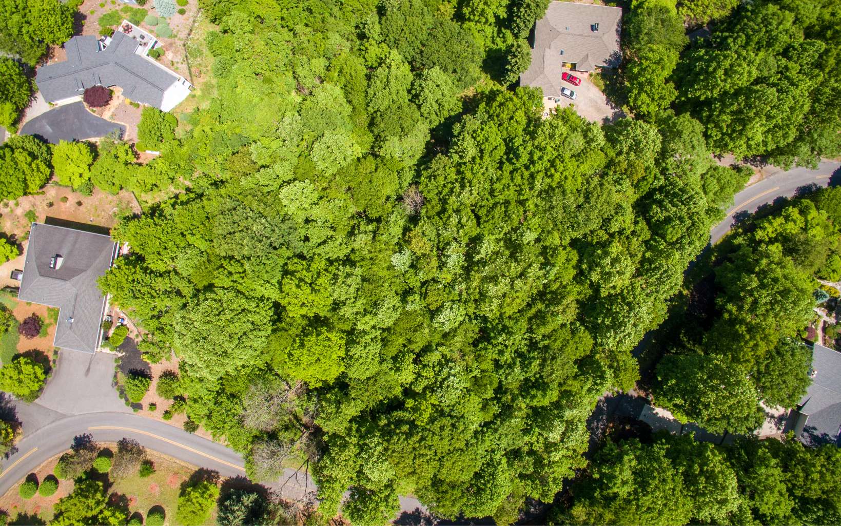 Lot 26 Lake Forest Estates