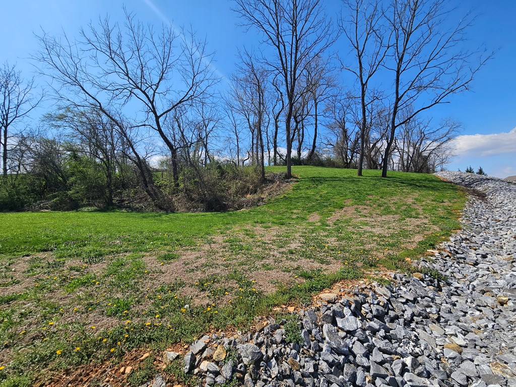 0 Mcglamery Farm Drive