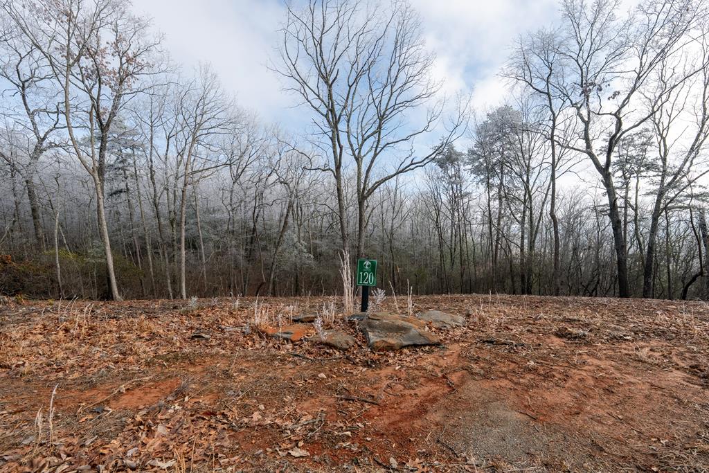 Lot 120 Royal View Landing