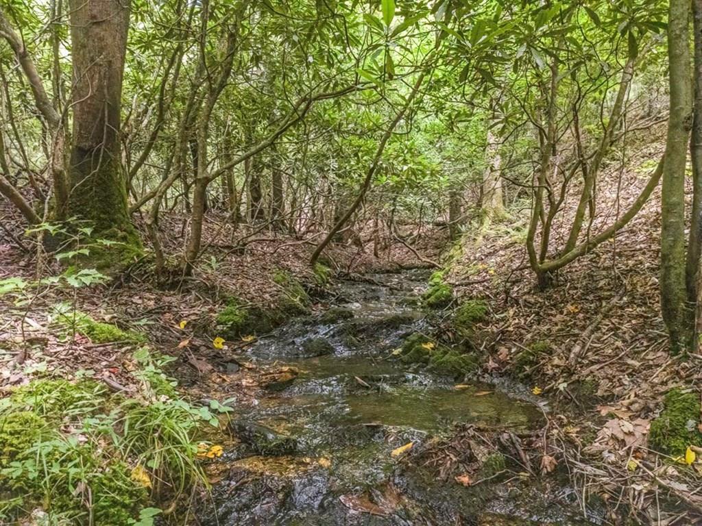 83 Acres Cutcane Road