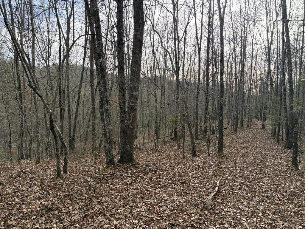 83 Acres Cutcane Road