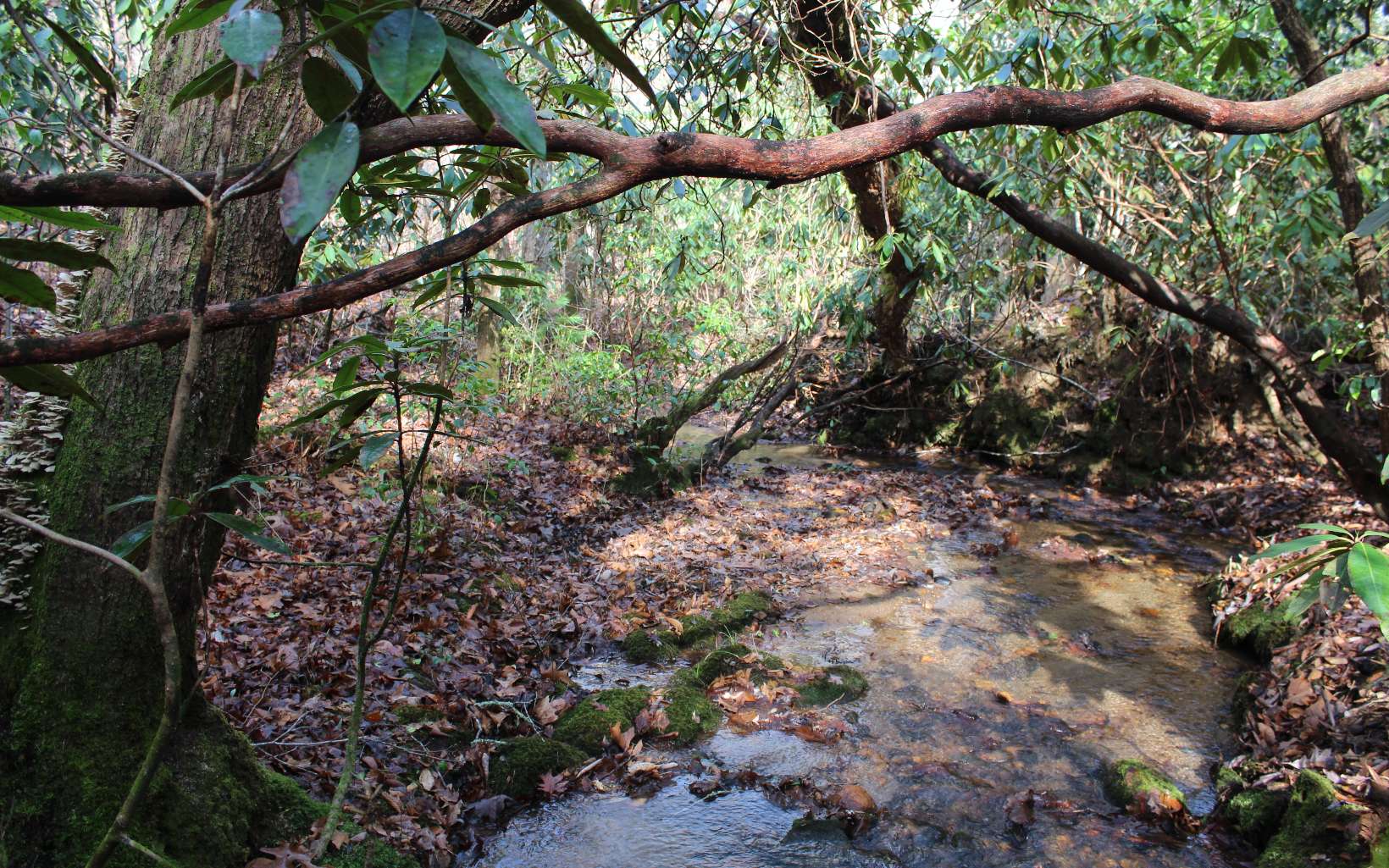 7 Fodder Creek Mill Road